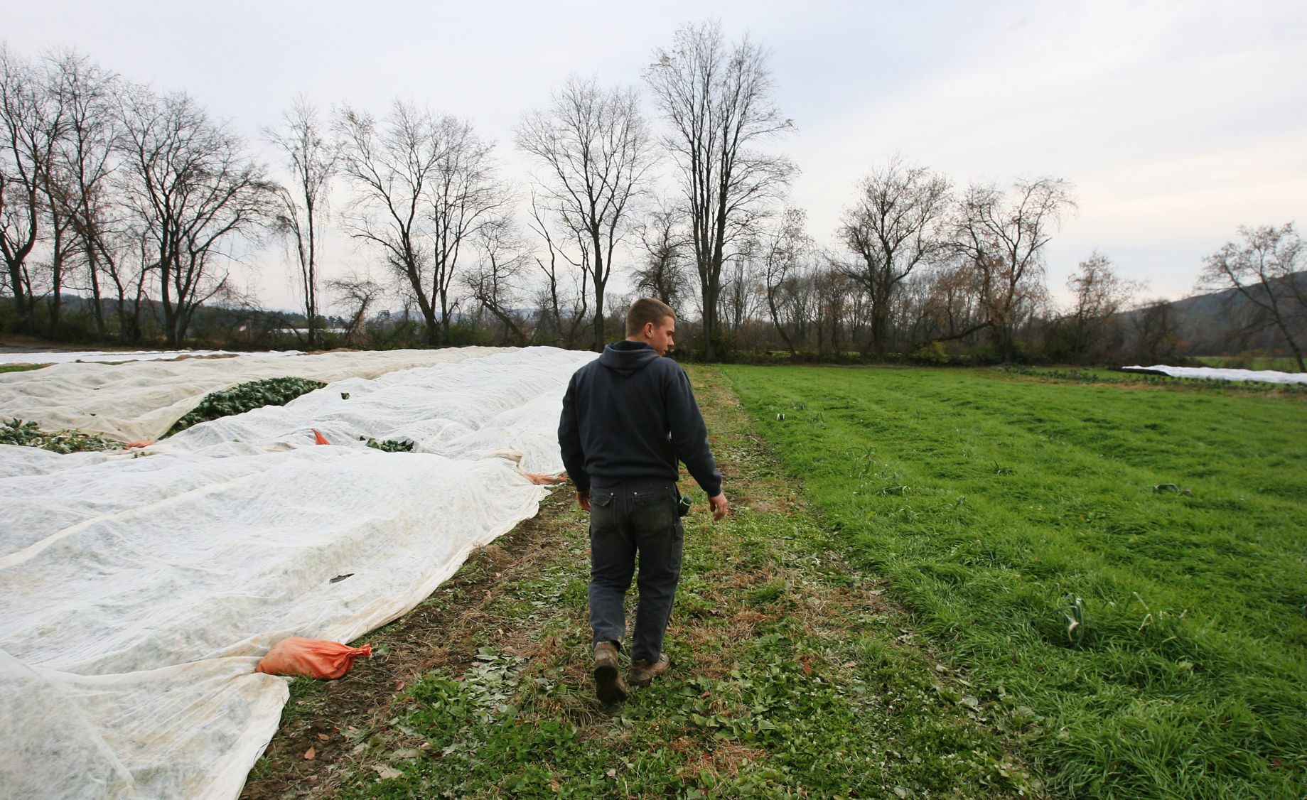 Farm flood assistance